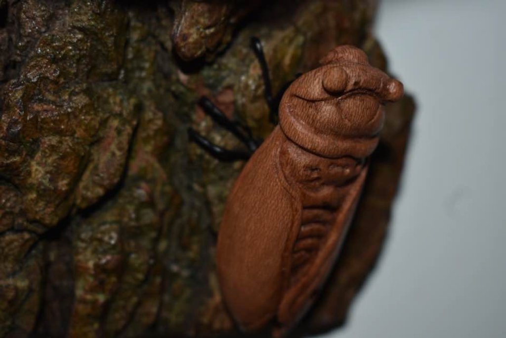 A photo of a small carved cicada sitting on some bark