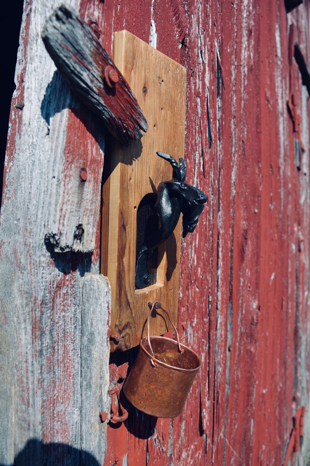 A photo of a metal goat head hanging on a wall with a bucket beneath its beard