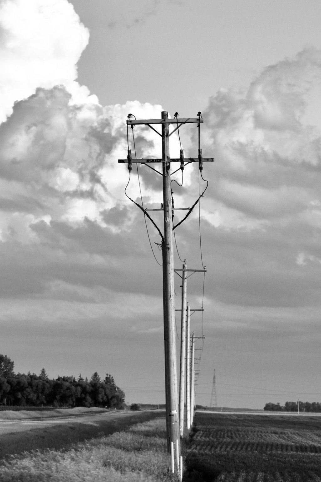 A photo of powerlines through prairie fields with clouds behind them